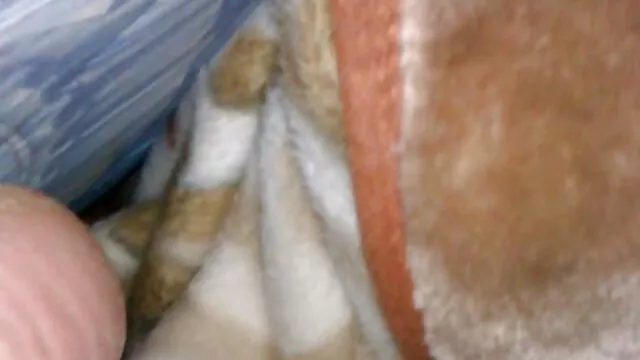 Tình dục không đăng ký  Một con điếm già với rất lớn, và phim sex hay nhất nhật bản ngon to, người đã mời một người hàng xóm đến thăm cô ấy khéo léo phát hiện ra rằng cô ấy vẫn còn là một trinh nữ và sửa chữa ngay lập tức gây phiền nhiễu này thiếu sót.