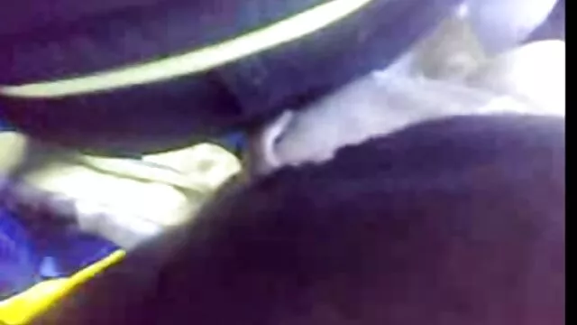 Tình dục không đăng ký  Các bạn trẻ, phim sex mỹ đen chơi nhật bản Lisa công và jizzed on