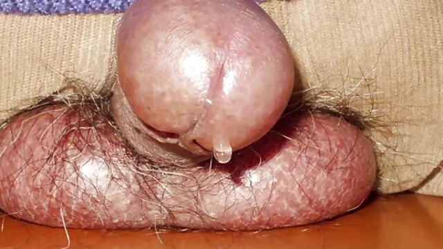 Tình dục không đăng ký  Hai cô gái tóc vàng, có phim sex nhat ban girl xinh một bữa tiệc