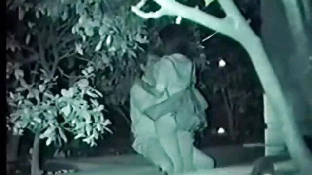 Tình dục không đăng ký  Tóc đỏ phim sex văn phòng nhật bản chó muốn một đam mê chết tiệt